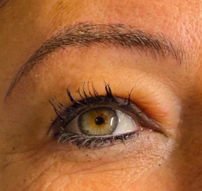 Microblading + Shading