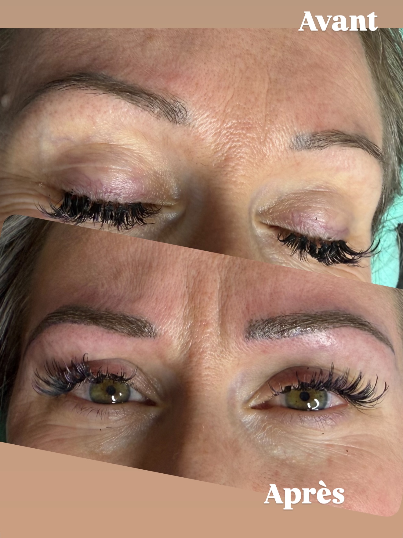 SOURCILS POUDRÉS AVEC DU POIL À POIL SUR LA TÊTE DU SOURCIL