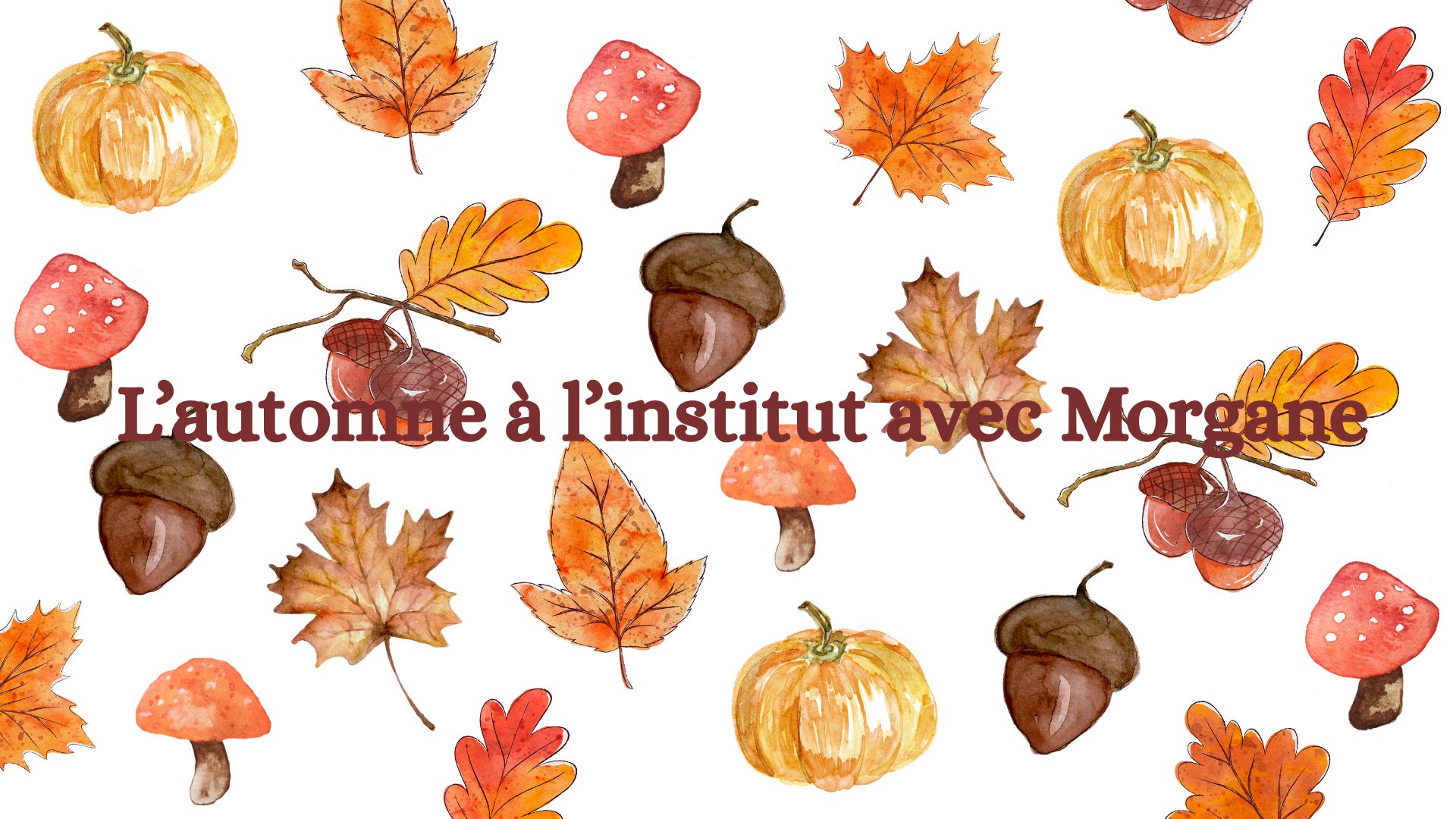 Morgane Maquillage Pemanent